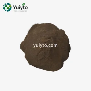 Alternative view of Osaka Entry Tee Superdry (Copy)