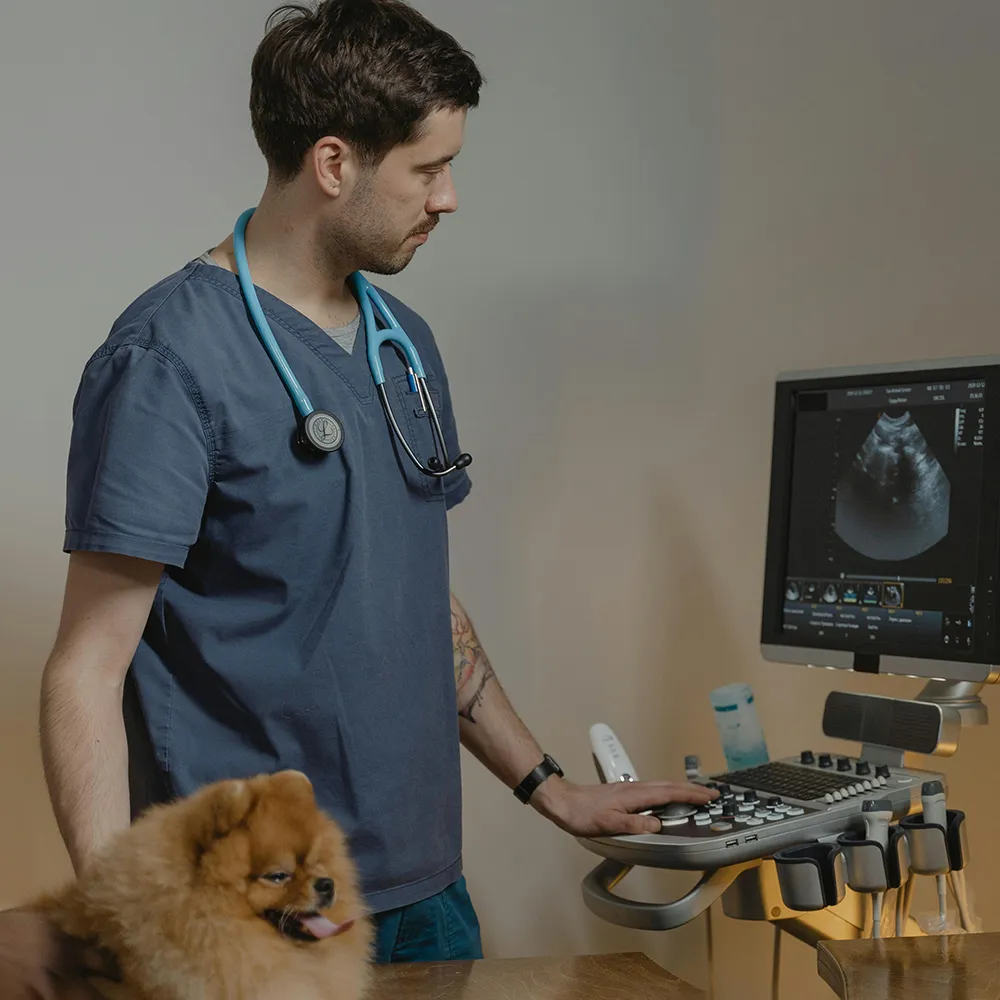 Natural-Veterinary-Ingredients