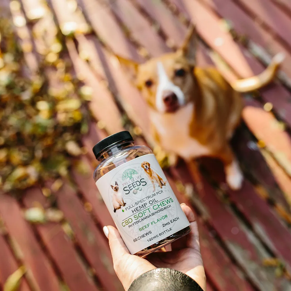 Pet-Food-Supplements